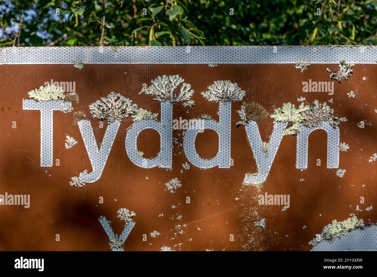Flechten on Sign; Wales; UK Stockfoto