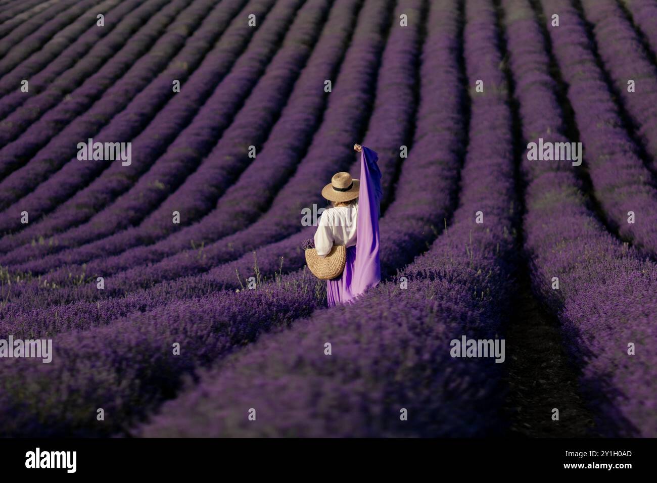 Eine Frau läuft durch ein Lavendelfeld. Das Feld ist lila und die Frau trägt einen Hut und einen lila Schal Stockfoto