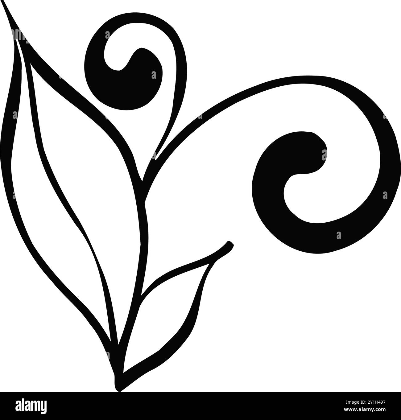 Zweig mit frischen Blättern und Locken, eleganter botanischer Stil, Vintage-Stil. Romantisches Ornament. Für Hochzeit, Grußkarten, Stoff, Druck. Grafikvektor Stock Vektor