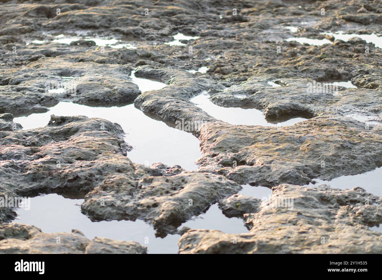 Eine strukturierte Landschaft aus nassem, felsigem Gelände mit flachen Wasserbecken, die den Himmel reflektieren. Die Oberfläche wirkt robust und uneben und zeigt natürliches e Stockfoto