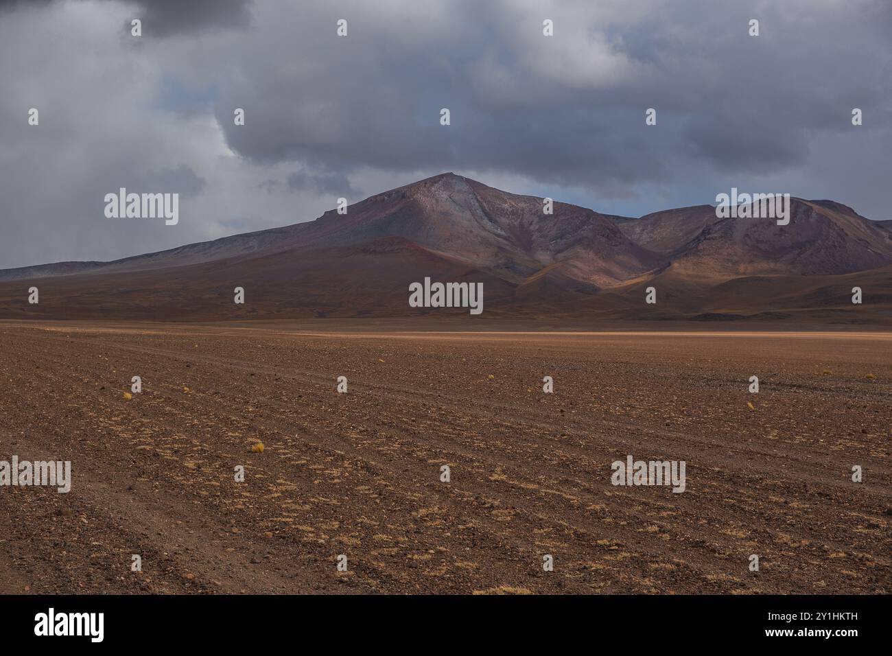 Salvador Dali Wüste im Eduardo Avaroa Andenfauna National Reserve in Bolivien. Stockfoto
