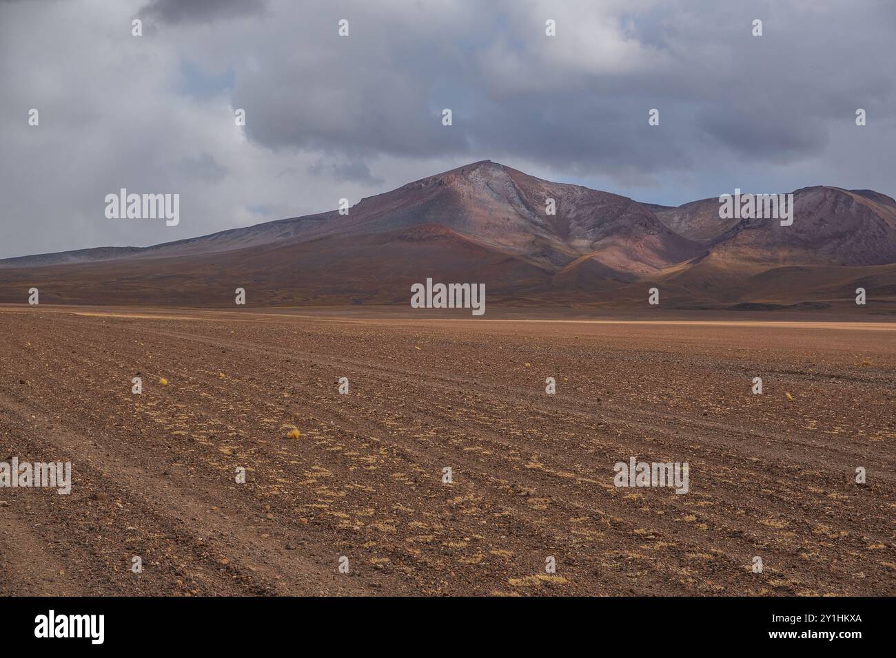 Salvador Dali Wüste im Eduardo Avaroa Andenfauna National Reserve in Bolivien Stockfoto