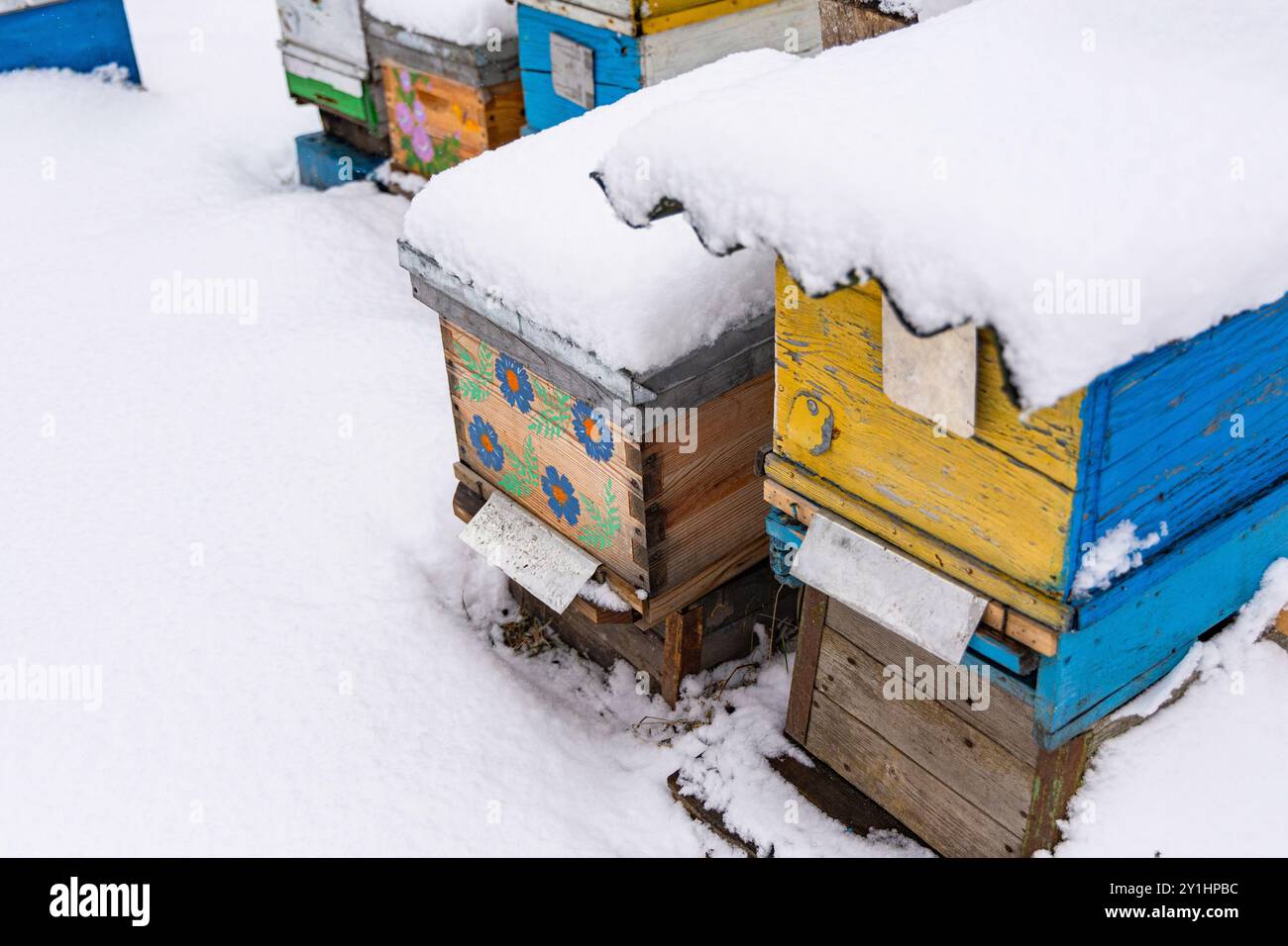 Bienenstöcke in einer ländlichen Gegend sind mit Schnee bedeckt und zeigen leuchtende Farben vor der weißen Winterlandschaft. Die Bienenstöcke scheinen leer zu sein und warten auf den Stockfoto