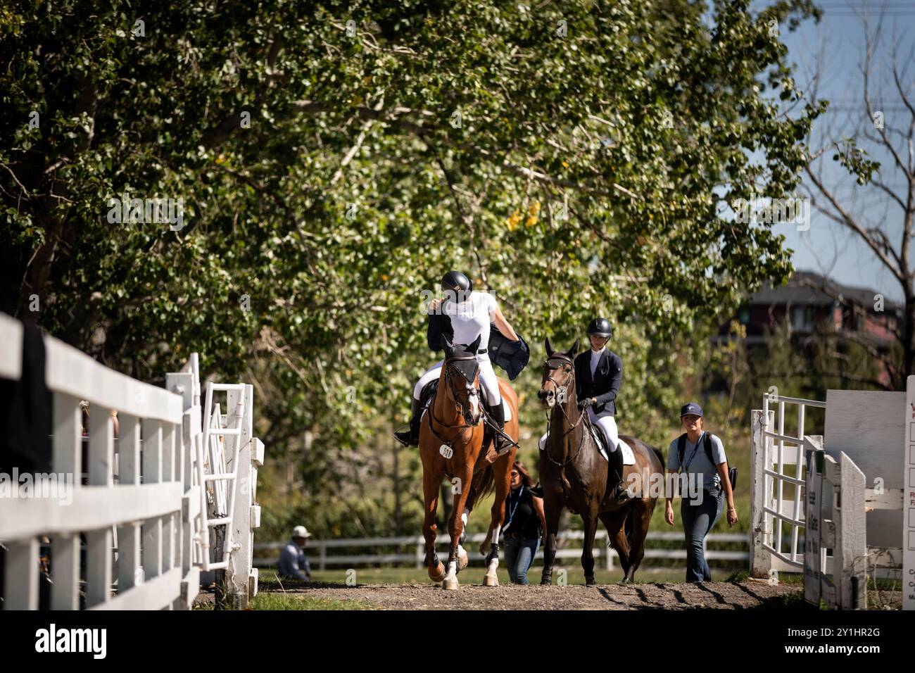 Calgary, Kanada - 6. September 2024. Jaydan Stettner aus Kanada tritt während der Rolex Masters in der 1,45 m langen CSI2*-Klasse in Spruce Meadows an. Mark Spowar Stockfoto