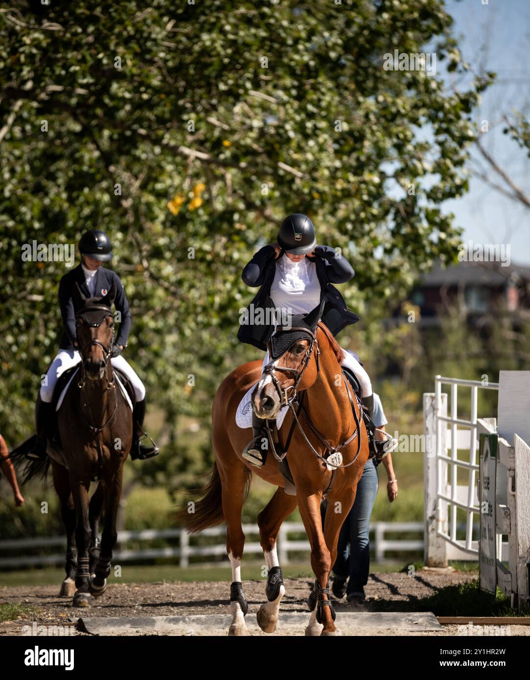 Calgary, Kanada - 6. September 2024. Jaydan Stettner aus Kanada tritt während der Rolex Masters in der 1,45 m langen CSI2*-Klasse in Spruce Meadows an. Mark Spowar Stockfoto