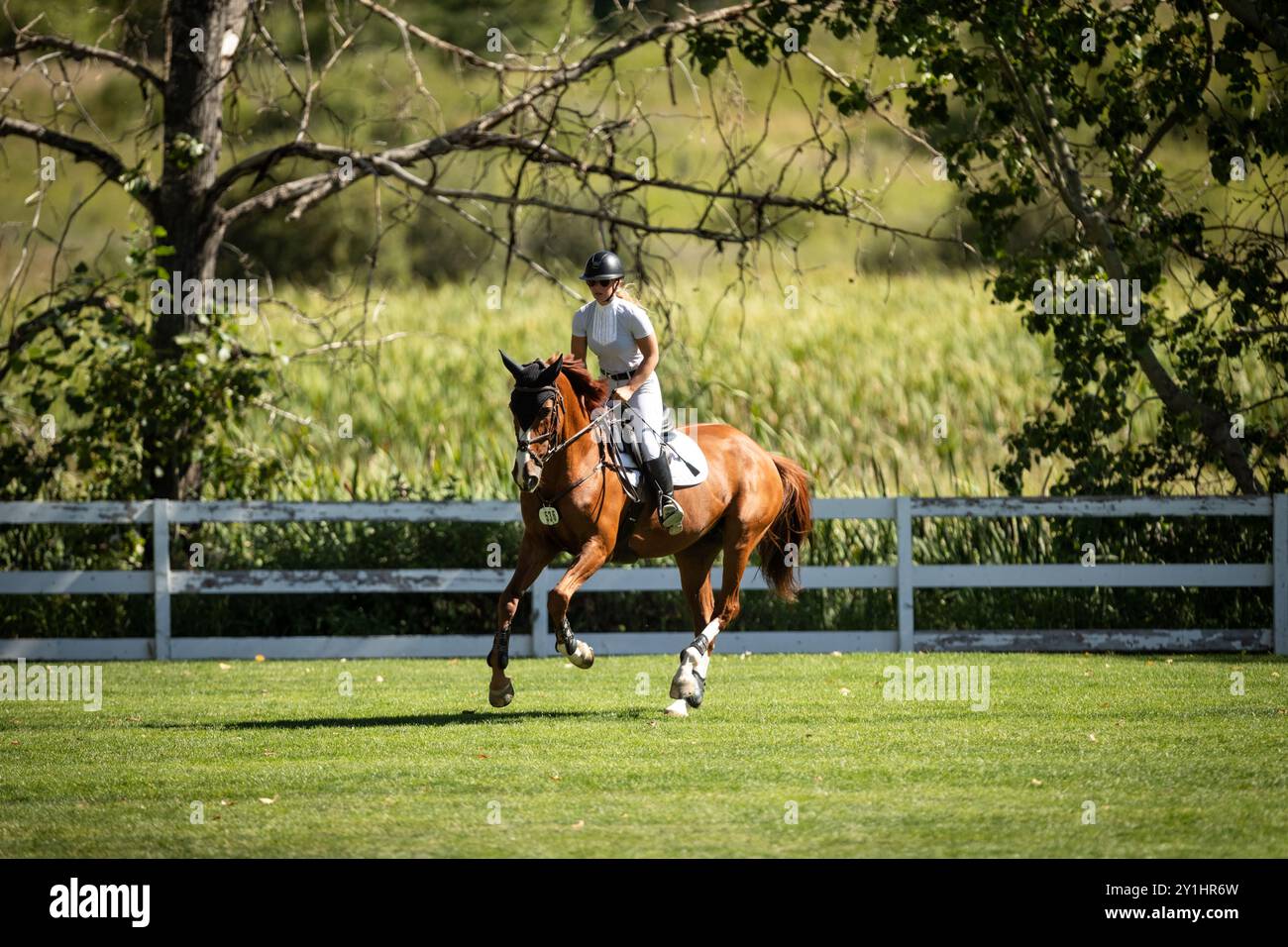 Calgary, Kanada - 6. September 2024. Jaydan Stettner aus Kanada tritt während der Rolex Masters in der 1,45 m langen CSI2*-Klasse in Spruce Meadows an. Mark Spowar Stockfoto