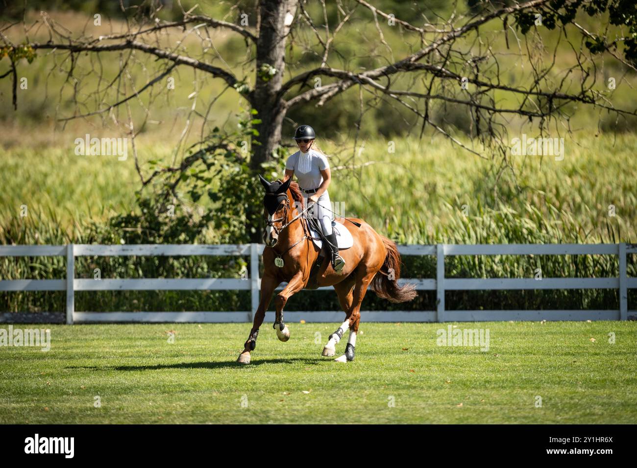 Calgary, Kanada - 6. September 2024. Jaydan Stettner aus Kanada tritt während der Rolex Masters in der 1,45 m langen CSI2*-Klasse in Spruce Meadows an. Mark Spowar Stockfoto