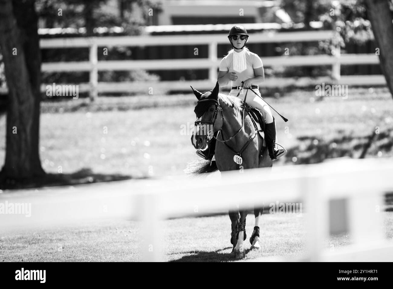 Calgary, Kanada - 6. September 2024. Jaydan Stettner aus Kanada tritt während der Rolex Masters in der 1,45 m langen CSI2*-Klasse in Spruce Meadows an. Mark Spowar Stockfoto