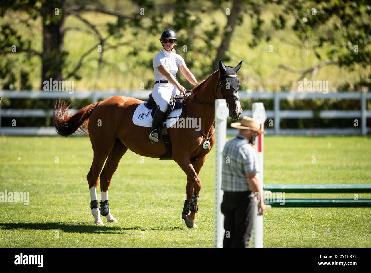 Calgary, Kanada - 6. September 2024. Jaydan Stettner aus Kanada tritt während der Rolex Masters in der 1,45 m langen CSI2*-Klasse in Spruce Meadows an. Mark Spowar Stockfoto