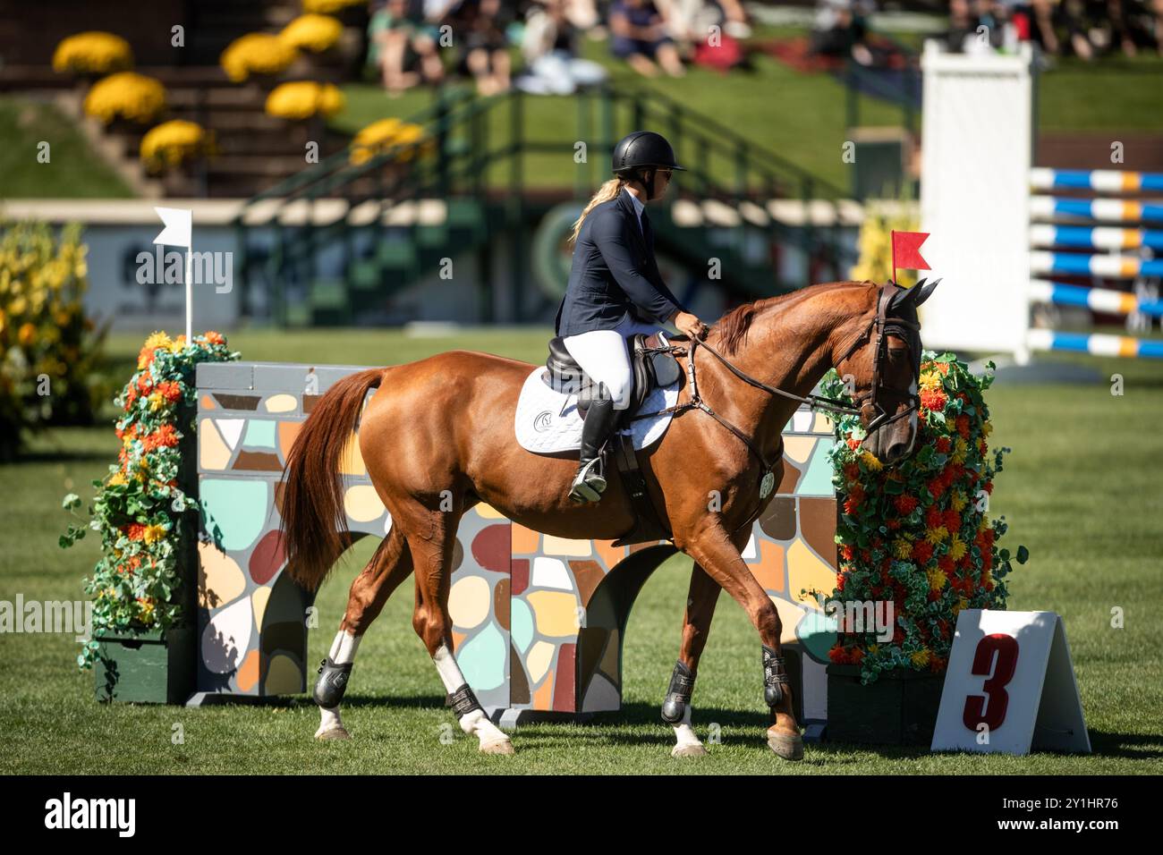 Calgary, Kanada - 6. September 2024. Jaydan Stettner aus Kanada tritt während der Rolex Masters in der 1,45 m langen CSI2*-Klasse in Spruce Meadows an. Mark Spowar Stockfoto