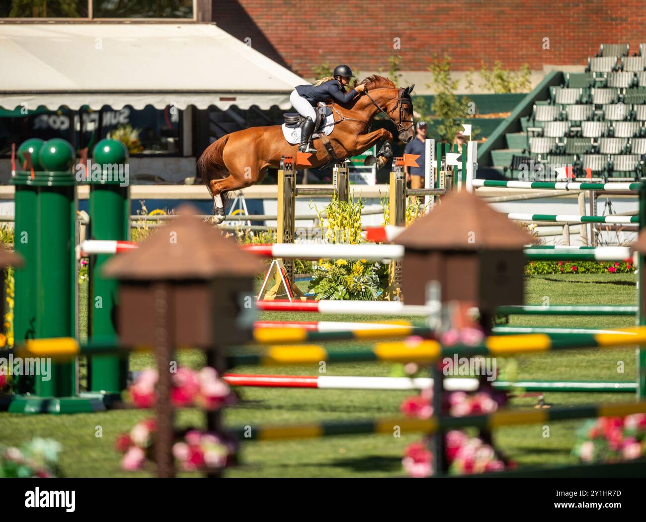 Calgary, Kanada - 6. September 2024. Jaydan Stettner aus Kanada tritt während der Rolex Masters in der 1,45 m langen CSI2*-Klasse in Spruce Meadows an. Mark Spowar Stockfoto