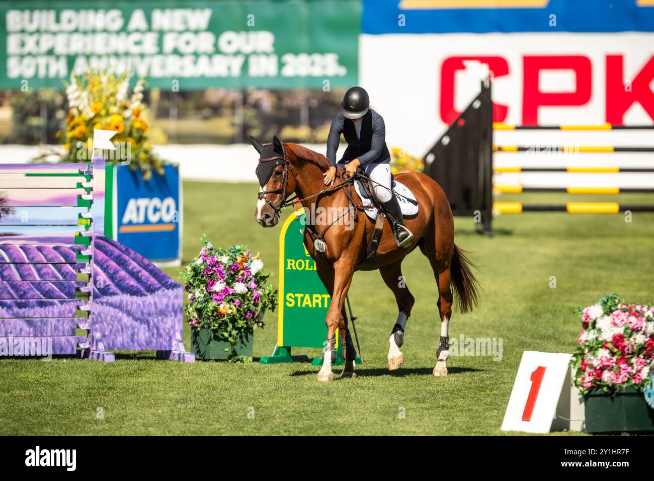 Calgary, Kanada - 6. September 2024. Jaydan Stettner aus Kanada tritt während der Rolex Masters in der 1,45 m langen CSI2*-Klasse in Spruce Meadows an. Mark Spowar Stockfoto