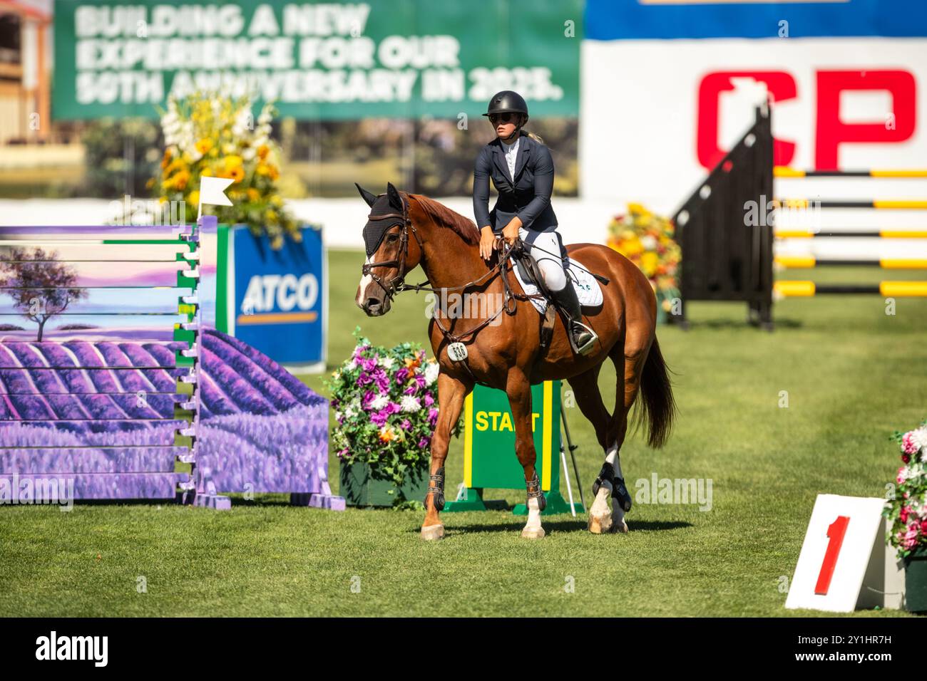 Calgary, Kanada - 6. September 2024. Jaydan Stettner aus Kanada tritt während der Rolex Masters in der 1,45 m langen CSI2*-Klasse in Spruce Meadows an. Mark Spowar Stockfoto