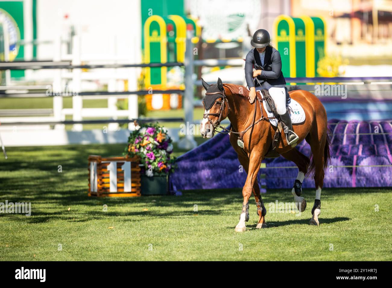 Calgary, Kanada - 6. September 2024. Jaydan Stettner aus Kanada tritt während der Rolex Masters in der 1,45 m langen CSI2*-Klasse in Spruce Meadows an. Mark Spowar Stockfoto