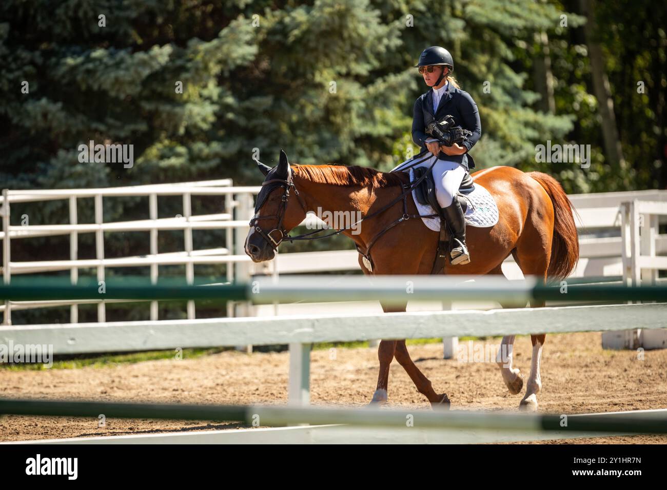 Calgary, Kanada - 6. September 2024. Jaydan Stettner aus Kanada tritt während der Rolex Masters in der 1,45 m langen CSI2*-Klasse in Spruce Meadows an. Mark Spowar Stockfoto