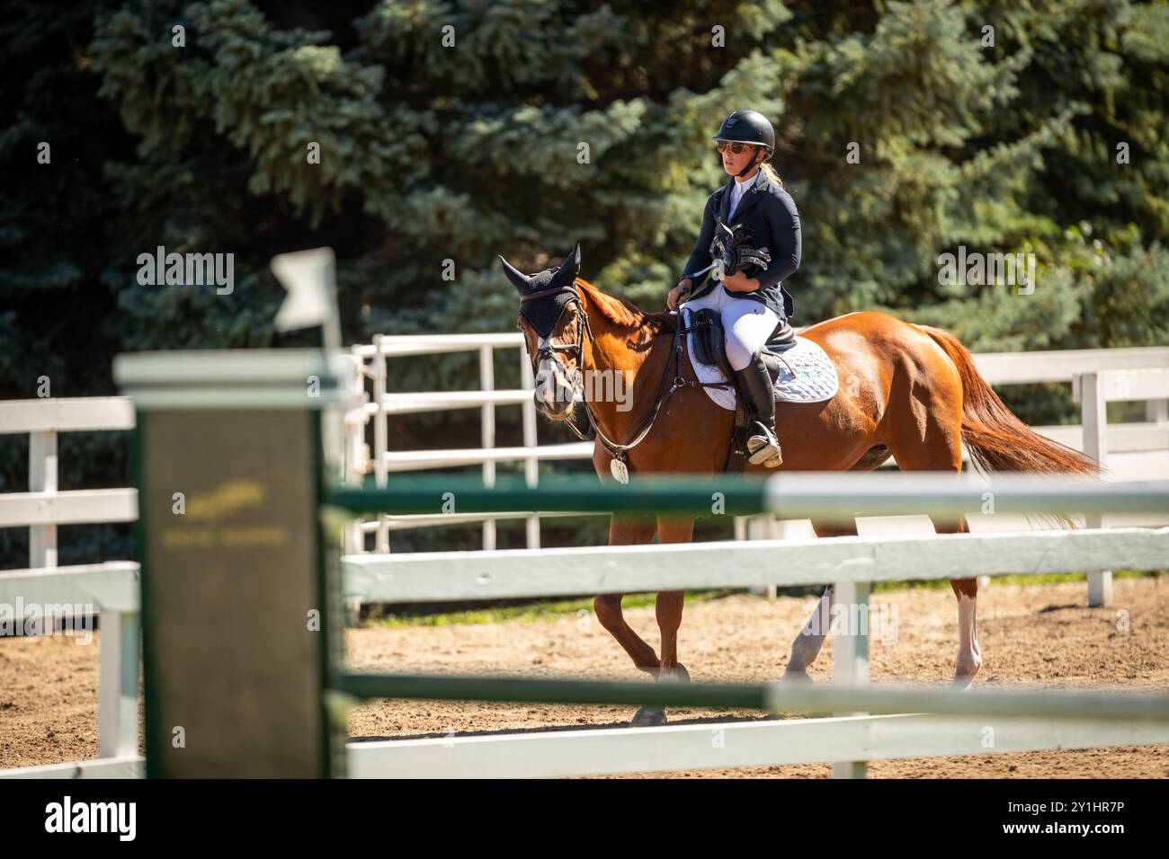 Calgary, Kanada - 6. September 2024. Jaydan Stettner aus Kanada tritt während der Rolex Masters in der 1,45 m langen CSI2*-Klasse in Spruce Meadows an. Mark Spowar Stockfoto