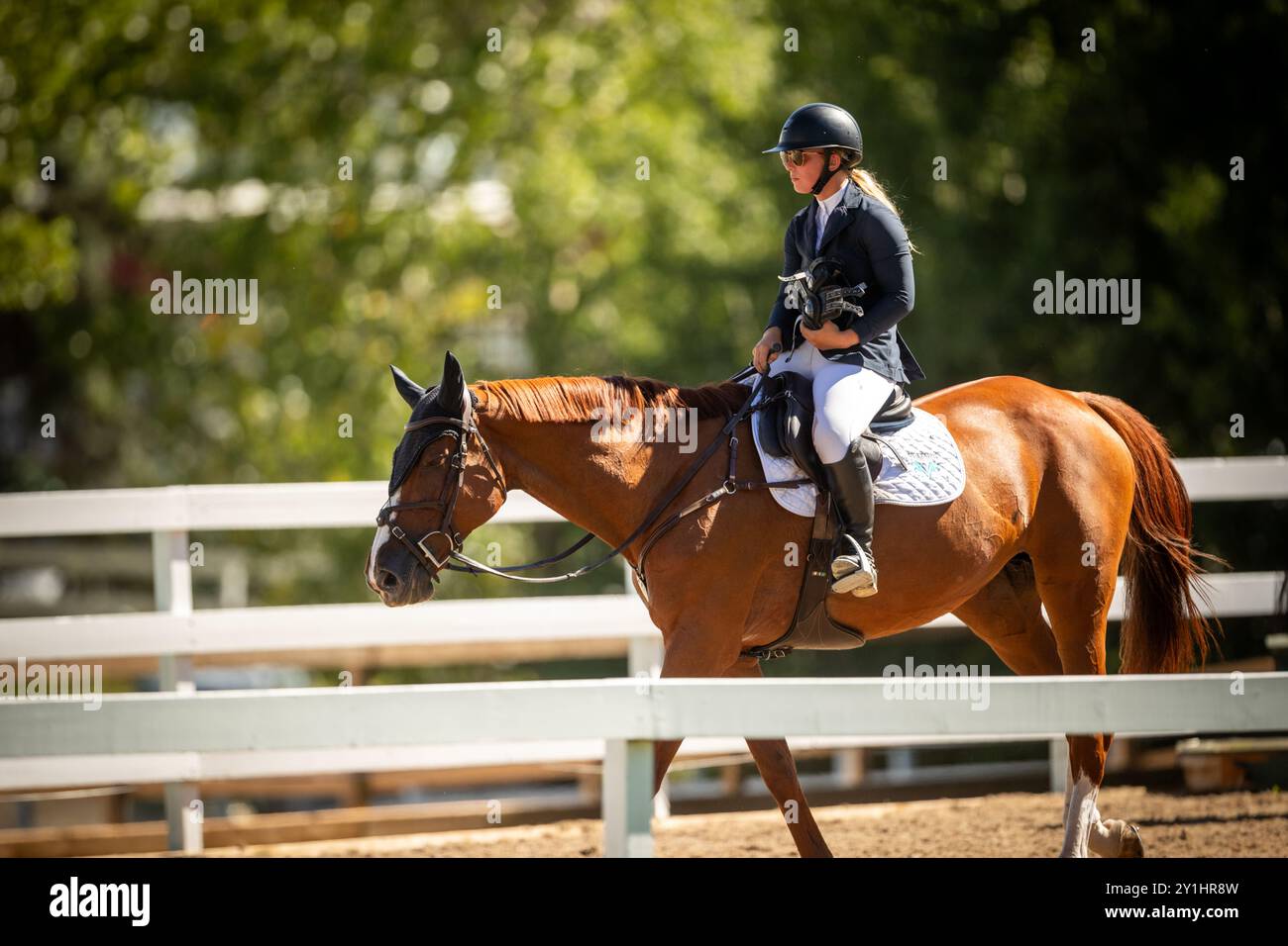 Calgary, Kanada - 6. September 2024. Jaydan Stettner aus Kanada tritt während der Rolex Masters in der 1,45 m langen CSI2*-Klasse in Spruce Meadows an. Mark Spowar Stockfoto