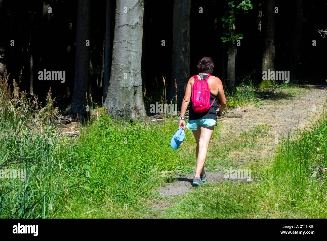 Eine Frau mit rosafarbenem Rucksack geht an einem sonnigen Tag auf einem Waldweg, umgeben von hohen Bäumen und grünem Gras Stockfoto