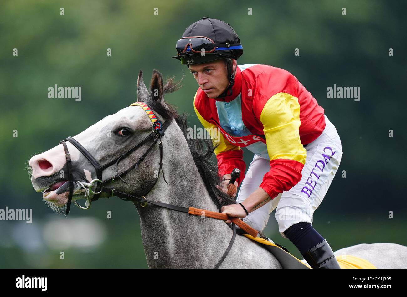 Rocking endet mit Ray Dawson vor dem Betfair Be Friendly Handicap-Rennen auf der Rennbahn Haydock Park. Bilddatum: Samstag, 7. September 2024. Stockfoto