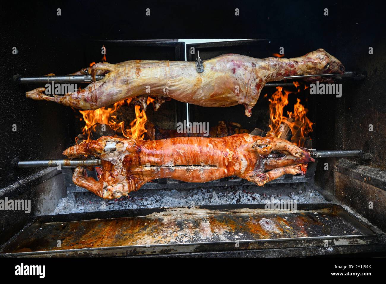 Ganze Lämmer und Schweine braten auf einer Spieße über einer Feuerstelle. Stockfoto