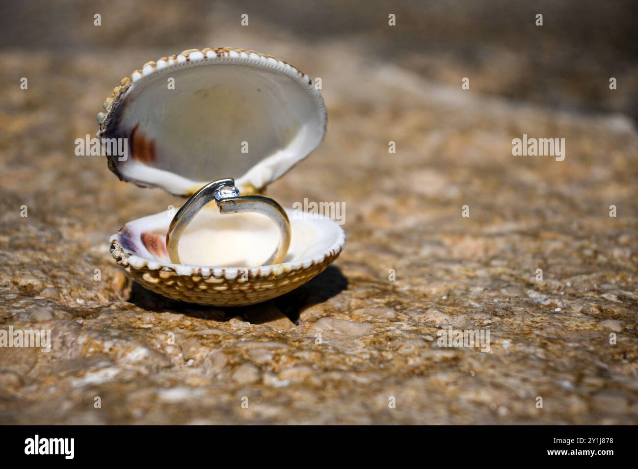 Der glitzernde Verlobungsring mit Diamanten befindet sich in einer offenen Muschel an einem sonnigen Strand. Stockfoto