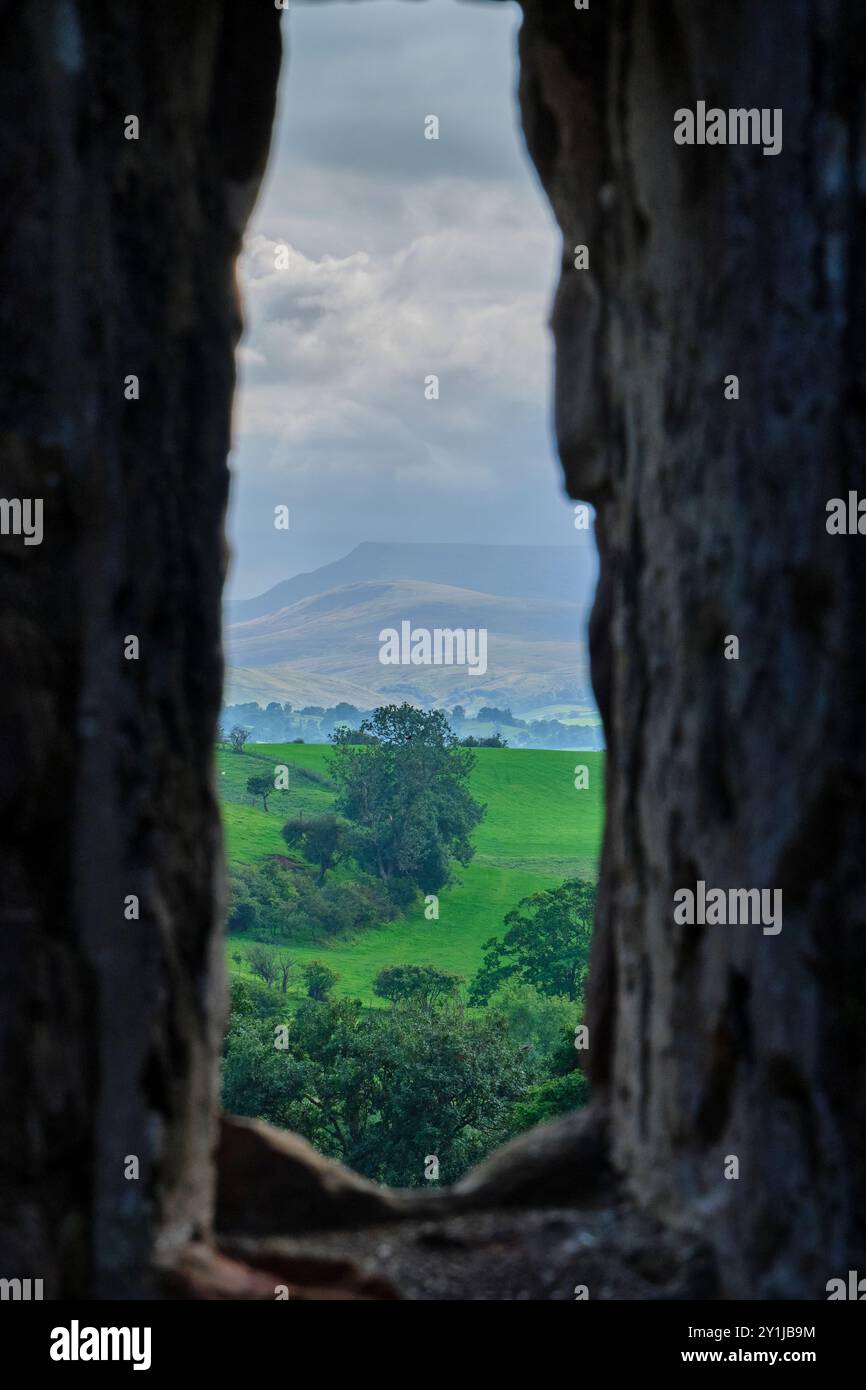 Wildschwein fiel von Brough Castle aus gesehen, Brough, Cumbria Stockfoto