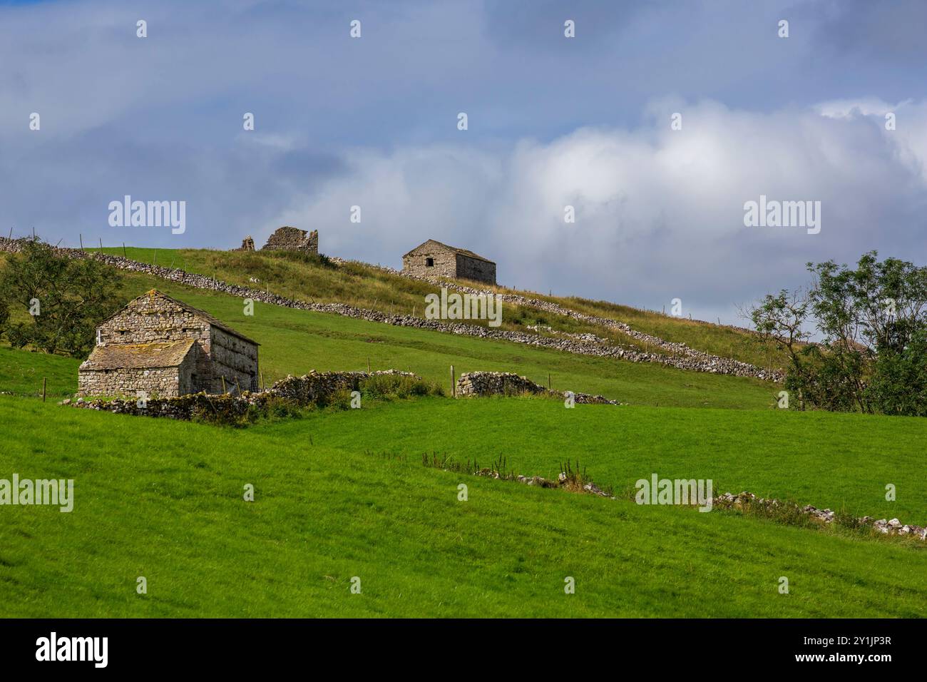 Deepdale, Langstrothdale, Yorkshire Dales National Park. Steinscheunen und ikonische Trockenmauern umgeben Weiden entlang des River Wharfe. Stockfoto