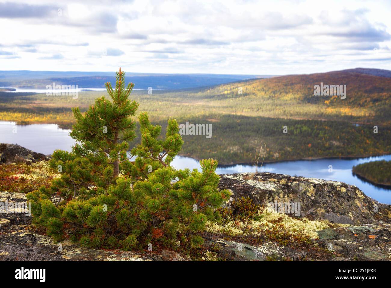 Herbstlandschaften mit Blick auf den See Kaskama. Kola-Halbinsel, Polarkreis, Russland Stockfoto