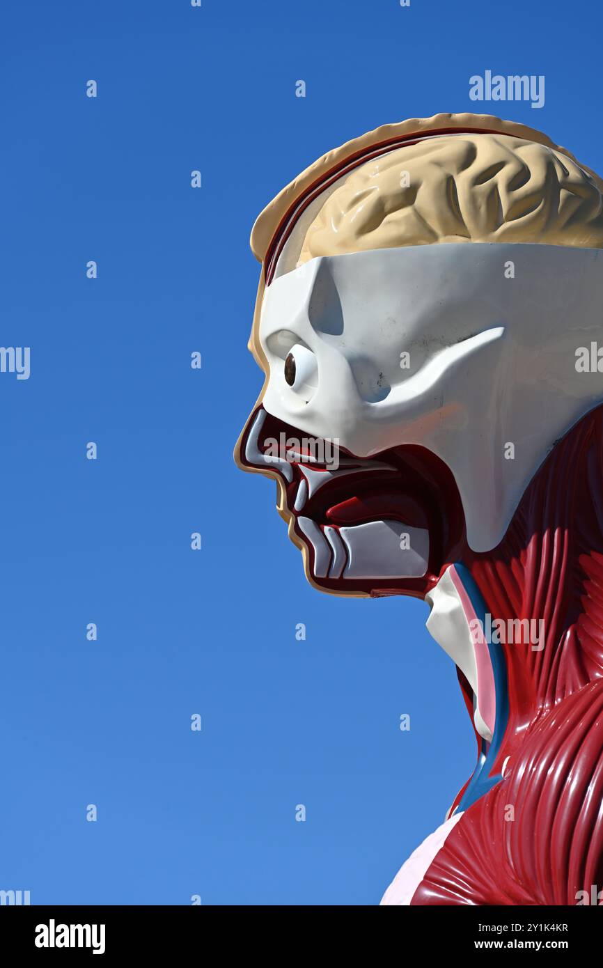 Profil des menschlichen Kopfes oder Porträt von Damien Hirst, Detail der Skulptur oder Statue bekannt als Hymn, installiert in Aix-en-Provence Frankreich Stockfoto