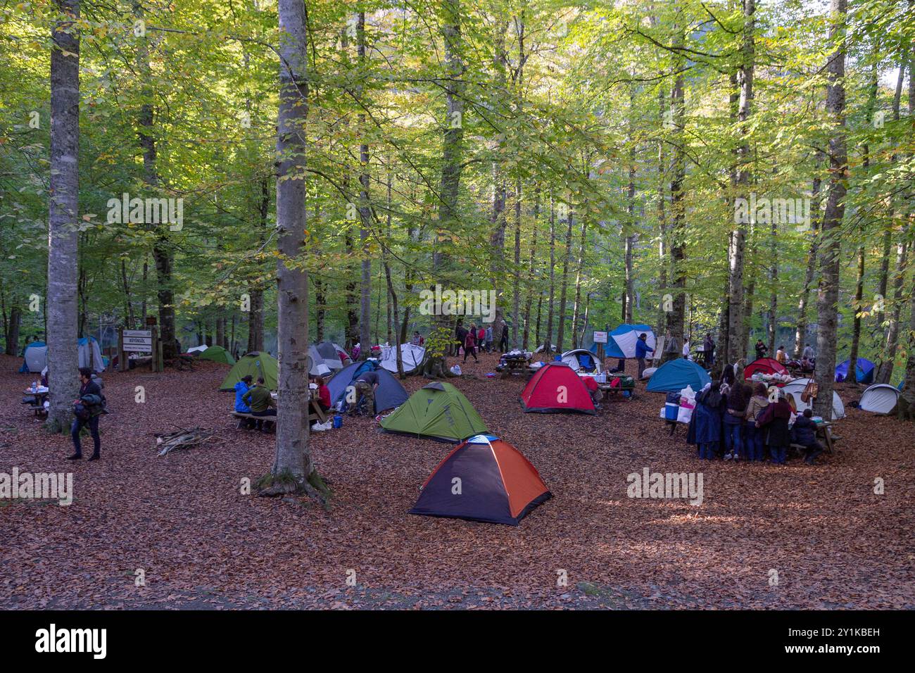 Campingplätze in den Wäldern im Herbst genießen die Ruhe der Natur in Edigoller Bolu, türkei Stockfoto