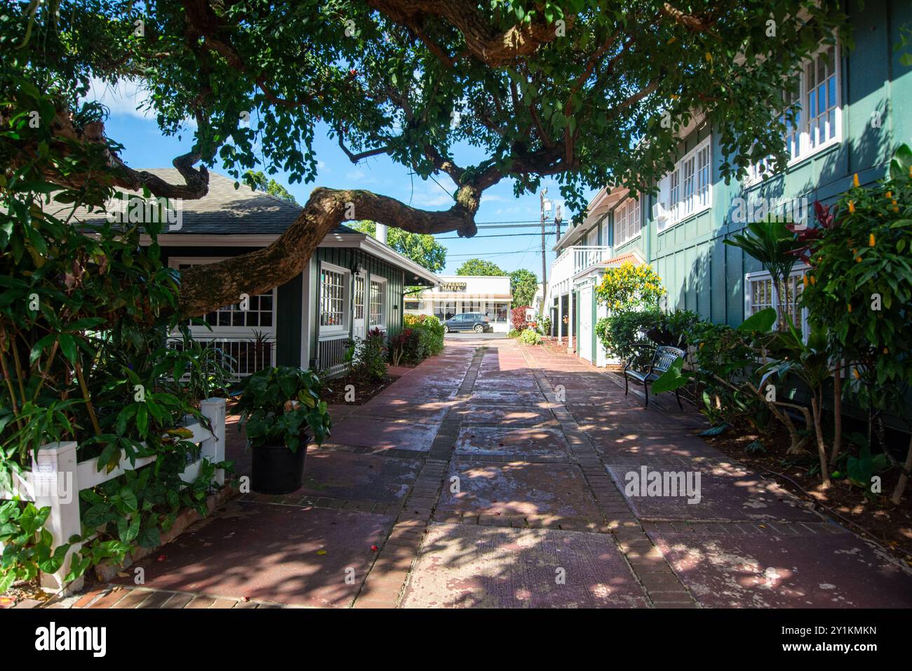 Makawao, Maui - ein Dorf voller Galerien und bekannt für seine Cowboys - Blick auf eine Straße Stockfoto