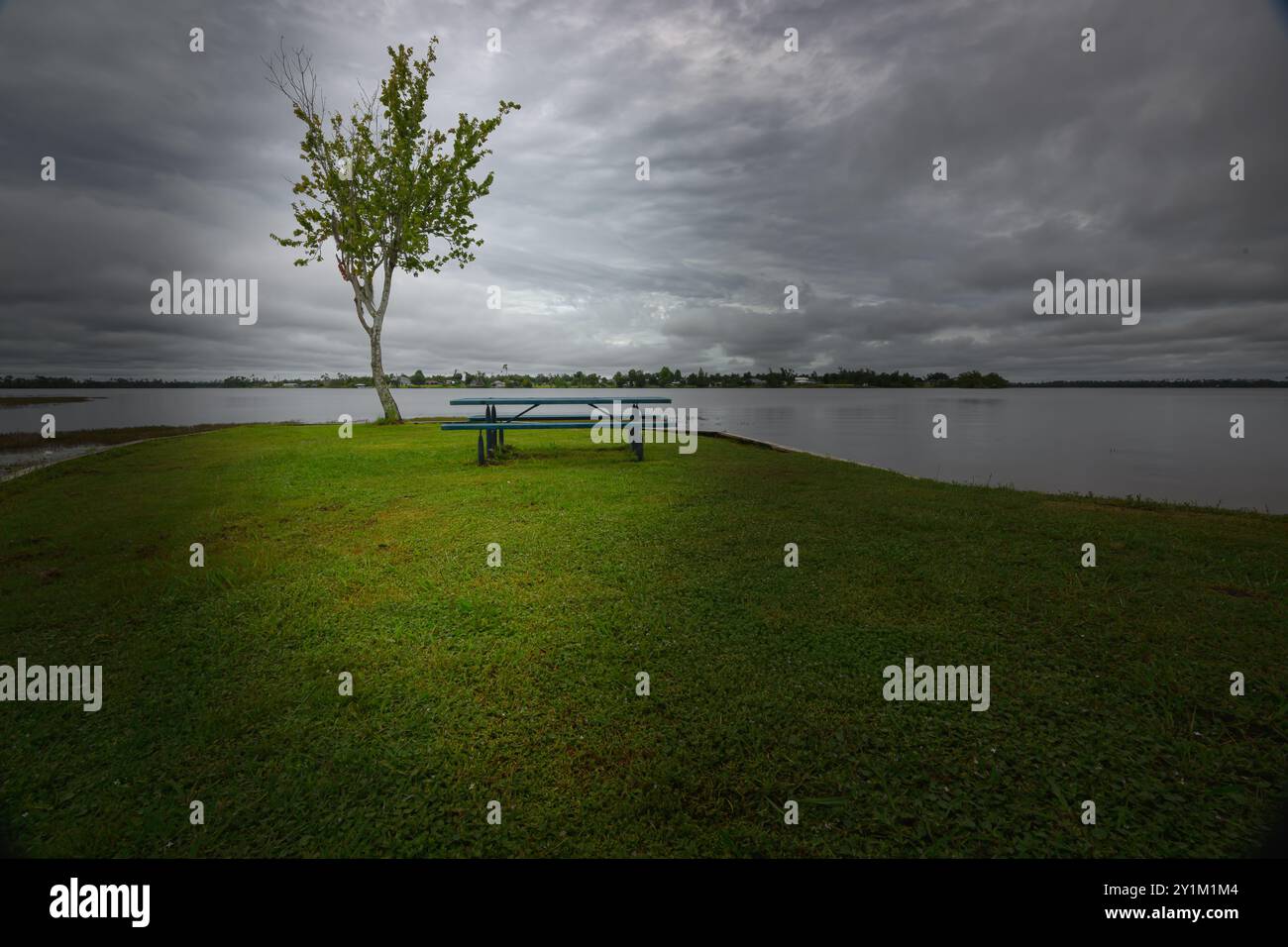 „Ein friedlicher Zufluchtsort am See – wo grünes Gras auf einen schattigen Baum trifft und ein Picknicktisch wartet, der Sie einlädt, sich zu entspannen und die ruhige Schönheit zu genießen Stockfoto