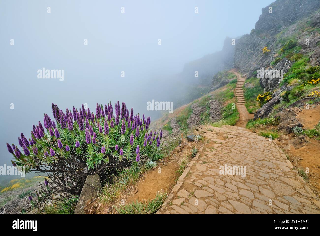 Der Wanderweg zwischen Pico de Arieiro und Pico Ruivo in Wolken, Madeira, Portugal Stockfoto