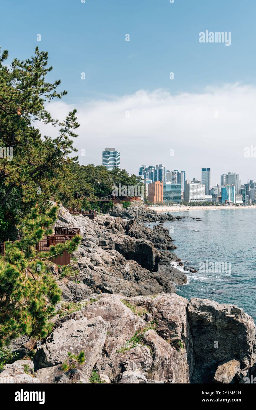 Blick auf Dongbaekseom Island und Haeundae Beach in Busan, Korea Stockfoto