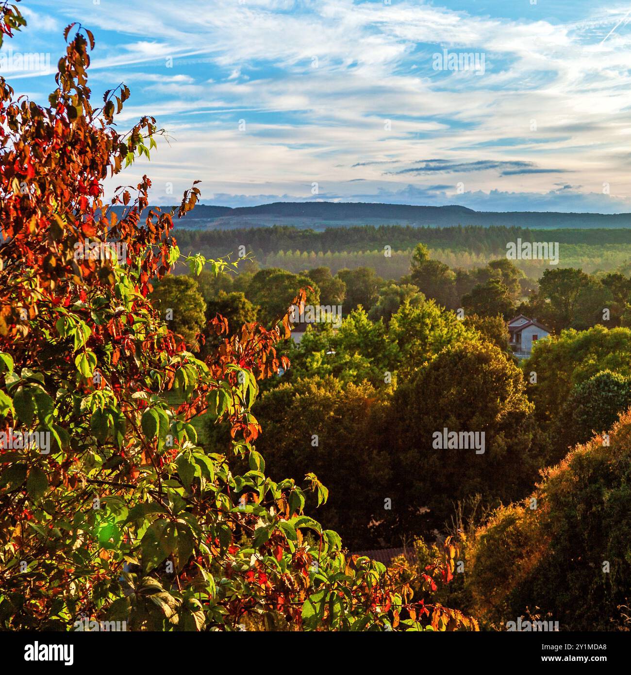 Wunderschöne Sommerlandschaft Frankreich Burgund Stockfoto