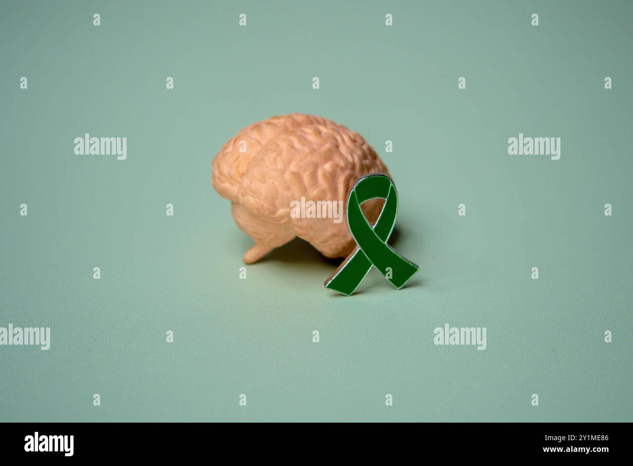 Nahaufnahme von Gehirn und grünem Band. Kopierbereich für Text. Psychische Gesundheitsbewusstseinskonzepte. Stockfoto