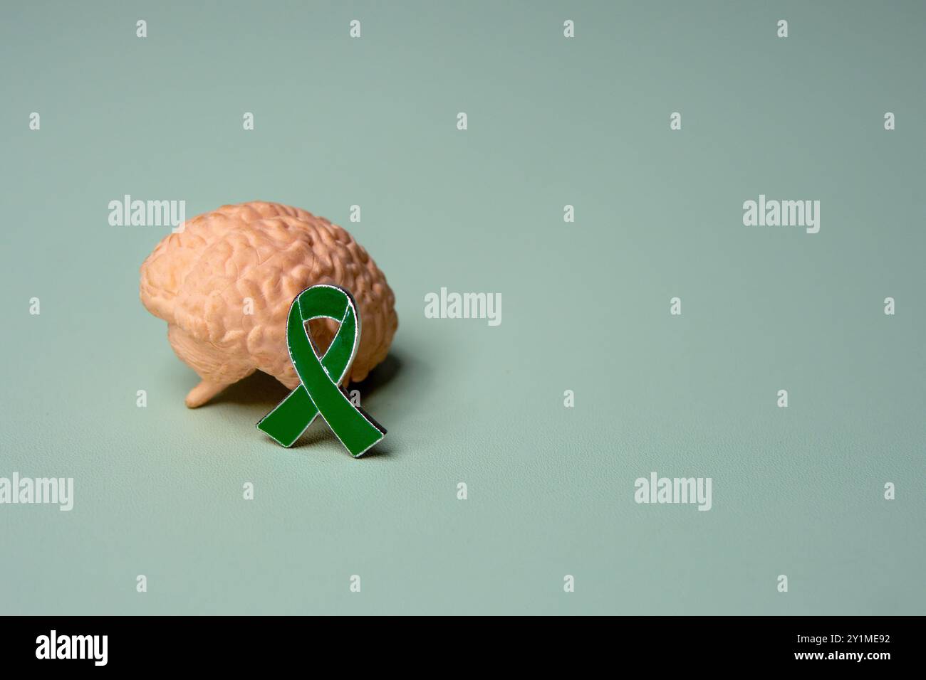 Nahaufnahme von Gehirn und grünem Band. Kopierbereich für Text. Psychische Gesundheitsbewusstseinskonzepte. Stockfoto