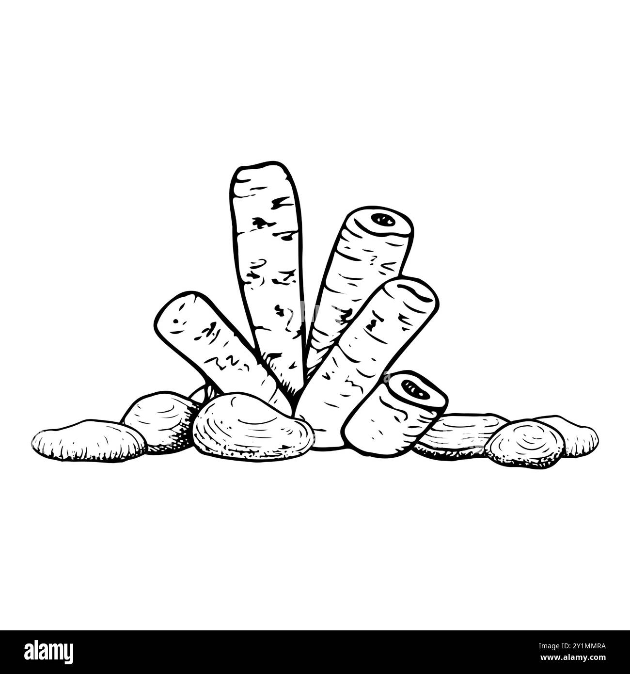 Röhrenschwammkorallen mit Meeresfelsen in Schwarz-weiß Stock Vektor