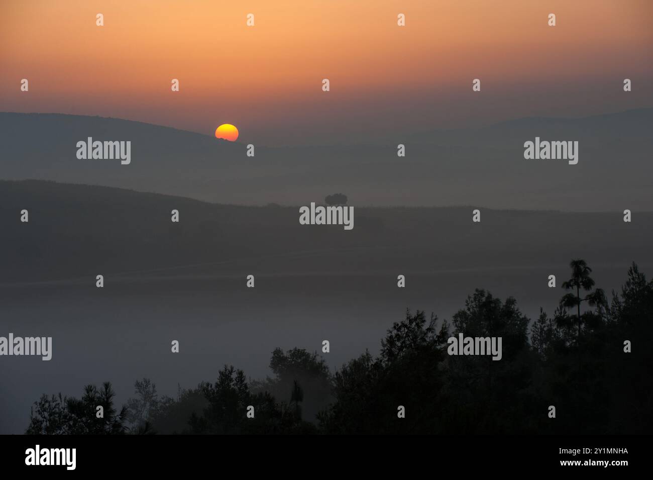 Die Sonne geht über einem Tal auf, das im Morgennebel in den Bergen von Galiläa im Norden Israels liegt. Stockfoto