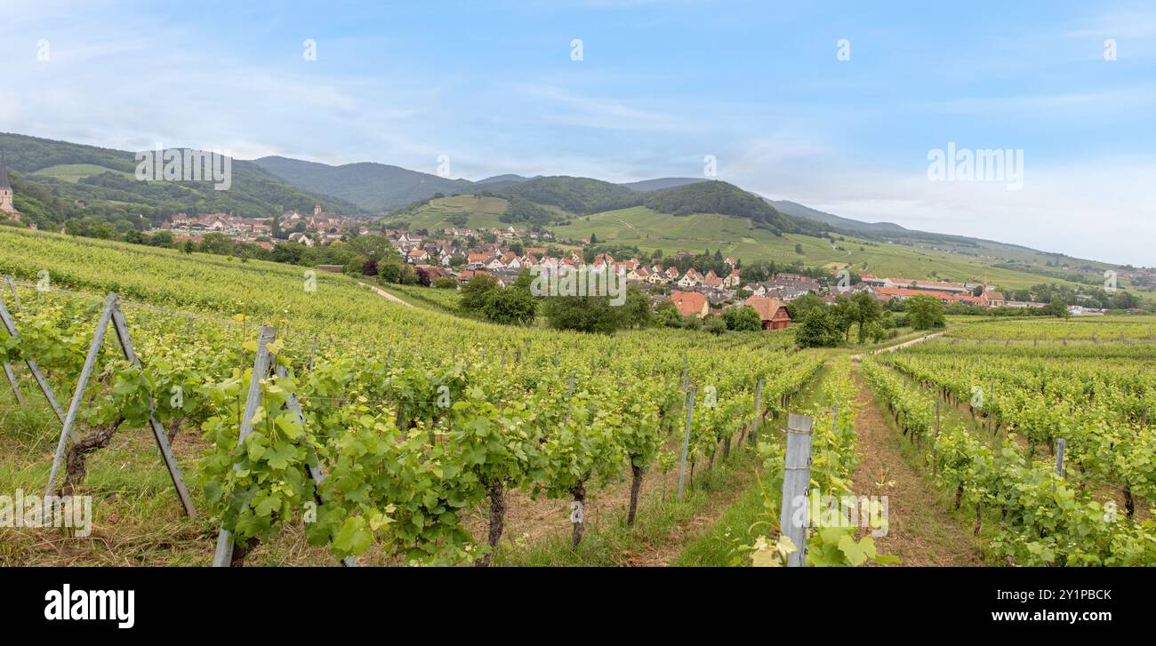 Andlau und seine Weinberge vom Hügel aus gesehen mit Blick auf die Stadt Stockfoto