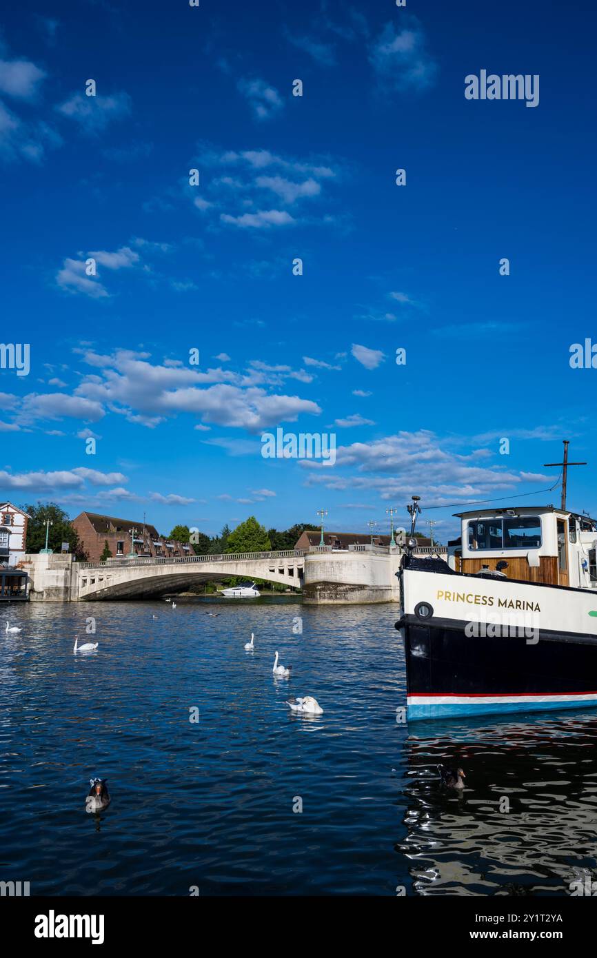 Schwäne und Prinzessin Marina, Boot, mit Caversham Bridge, Themse, Reading, Berkshire, England, Großbritannien, GB. Stockfoto