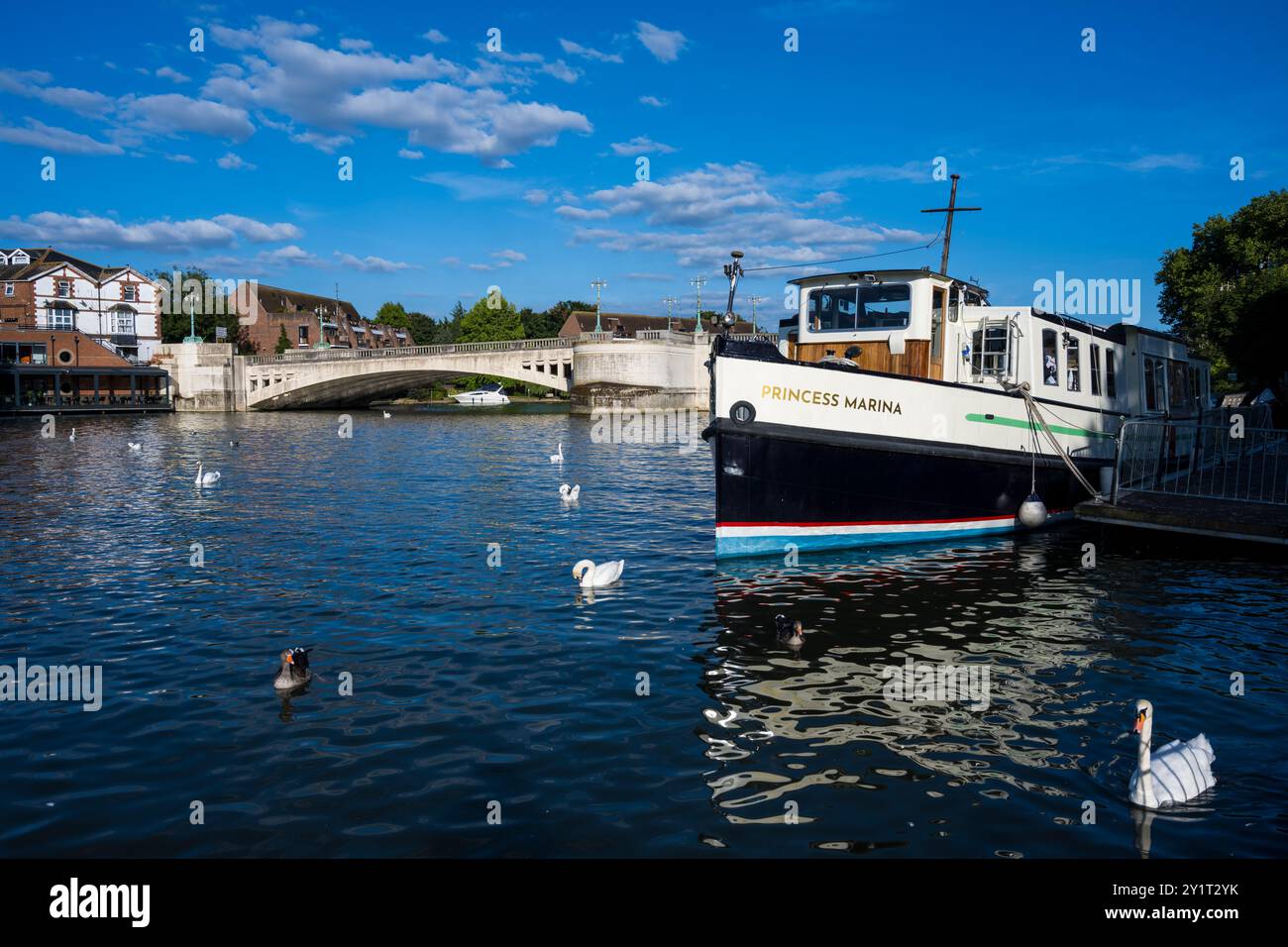 Schwäne und Prinzessin Marina, Boot, mit Caversham Bridge, Themse, Reading, Berkshire, England, Großbritannien, GB. Stockfoto