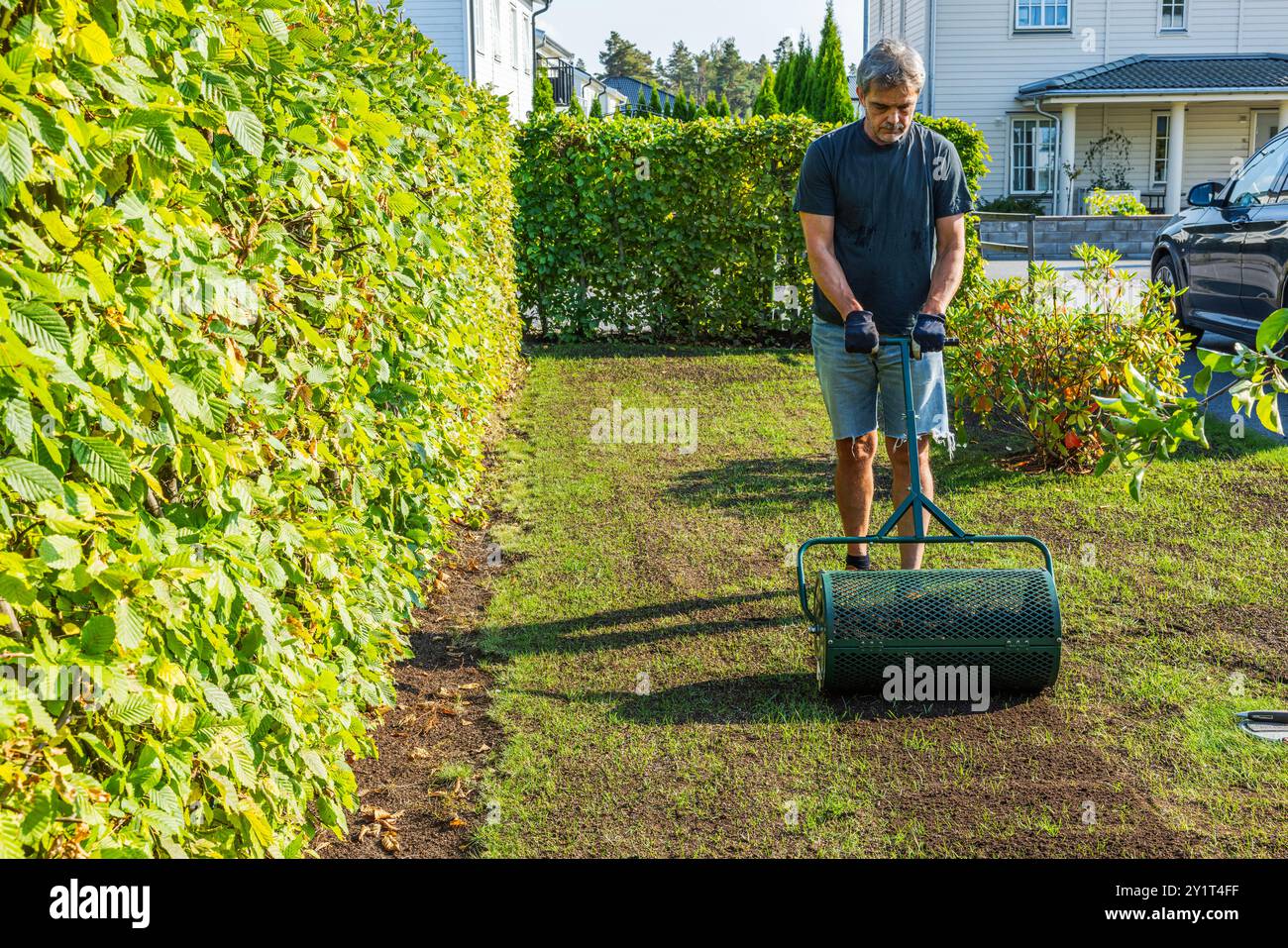 Mann, der beschädigten Rasen mit einer Bodenstreuwalze im Wohnbereich restauriert. Schweden. Stockfoto