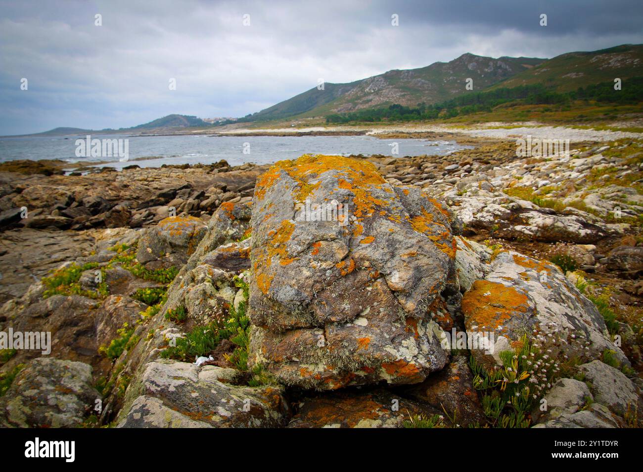 Lariño, Galicien, Spanien. Raue Atlantikküste an der Küste des Todes in der Provinz Carnota Stockfoto