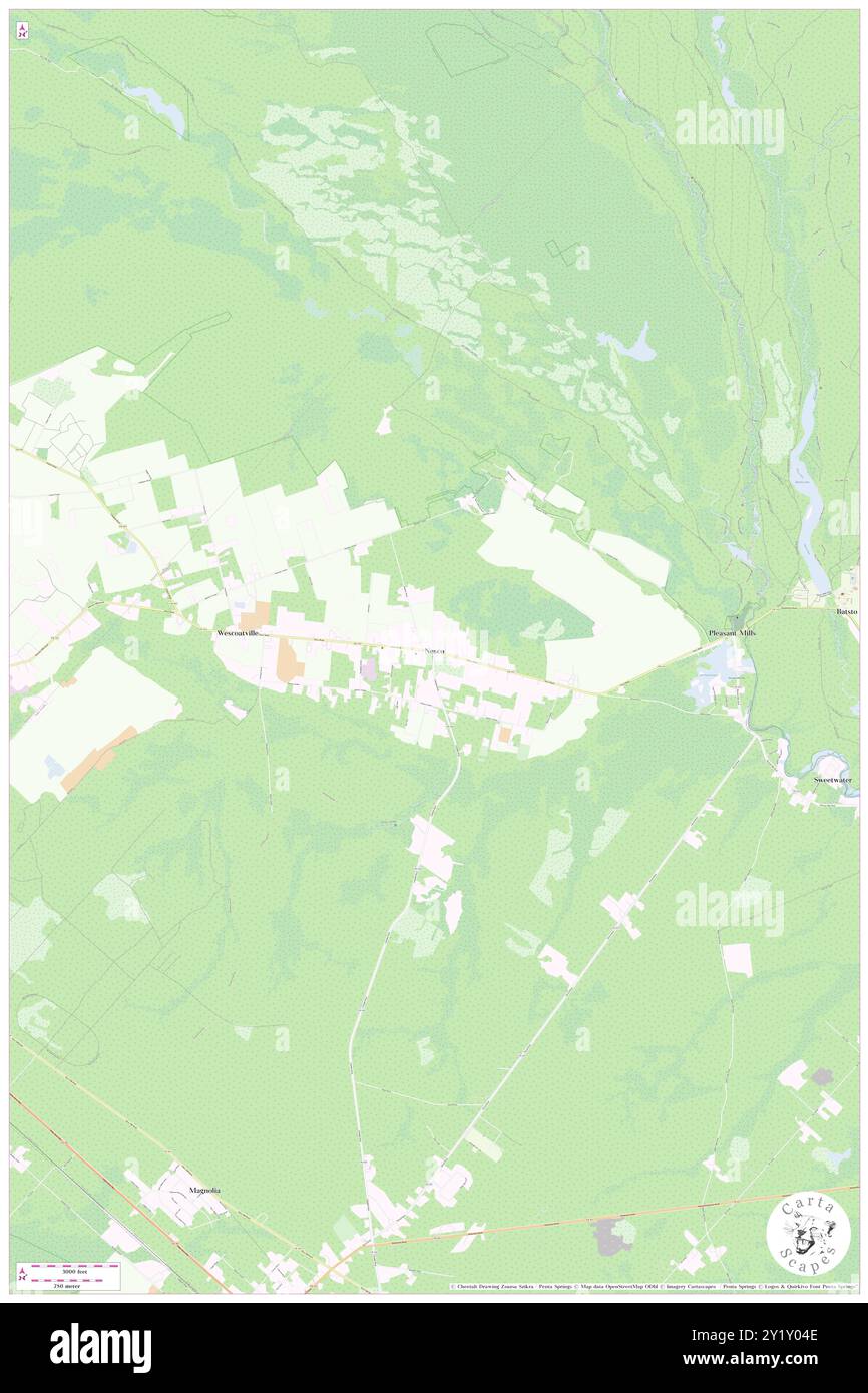 NESCO, Atlantic County, USA, USA, New Jersey, n 39 38' 17'', S 74 41' 47'', Karte, Cartascapes Map, veröffentlicht 2024. Erkunden Sie Cartascapes, eine Karte, die die vielfältigen Landschaften, Kulturen und Ökosysteme der Erde enthüllt. Reisen Sie durch Zeit und Raum und entdecken Sie die Verflechtungen der Vergangenheit, Gegenwart und Zukunft unseres Planeten. Stockfoto