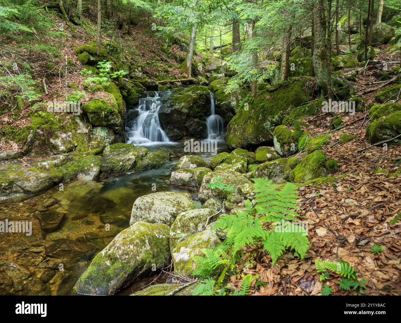 Ein malerischer Wasserfall fällt über moosbedeckte Felsen in einem ruhigen Wald. Die ruhige Umgebung zeigt die Ruhe der Natur mit klarem Wasser Stockfoto