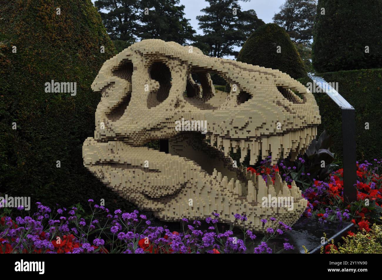 LEGO Dinosaurier Skull bei der LEGO Dinosaurs Ausstellung in Sewerby Hall, East Yorkshire, England Stockfoto