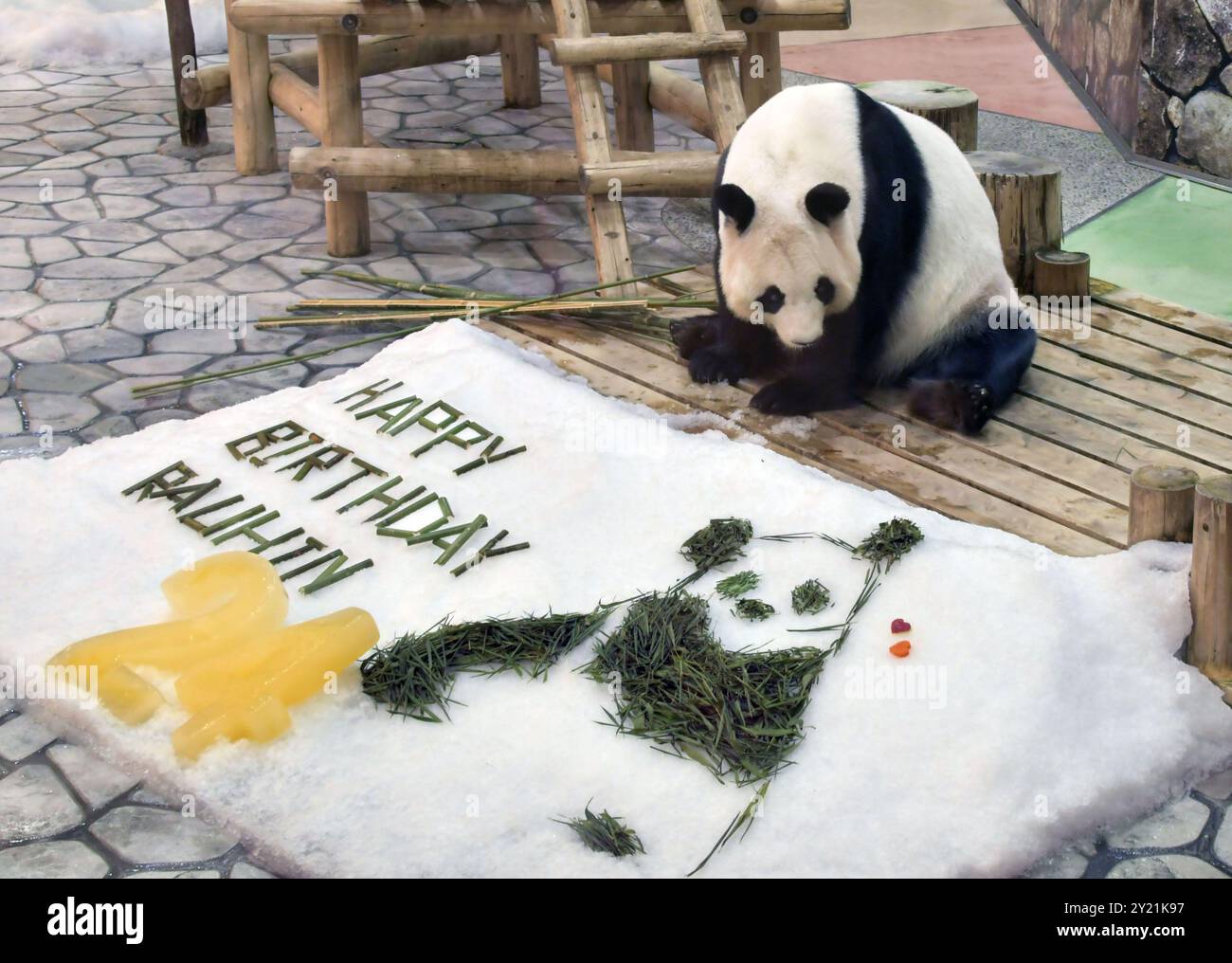 Die 10-jährige Riesenpanda Rauhin bekommt an ihrem 24. Geburtstag im Zoo und Vergnügungspark der Adventure World in Shirahama in der Präfektur Wakayama im Westen Japans am 6. September 2024 Kunstschnee. (Kyodo)==Kyodo Photo via Credit: Newscom/Alamy Live News Stockfoto