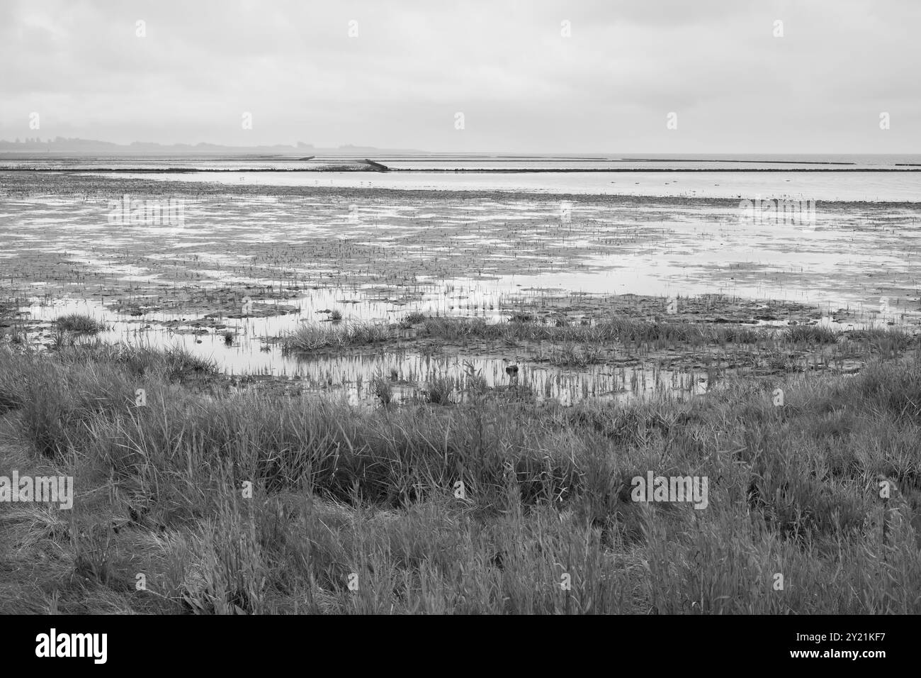 Ebbe an der Nordseeküste, Nationalpark Niedersächsisches Wattenmeer, Norddeich, Ostfriesland, Niedersachsen, Deutschland, Europa Stockfoto