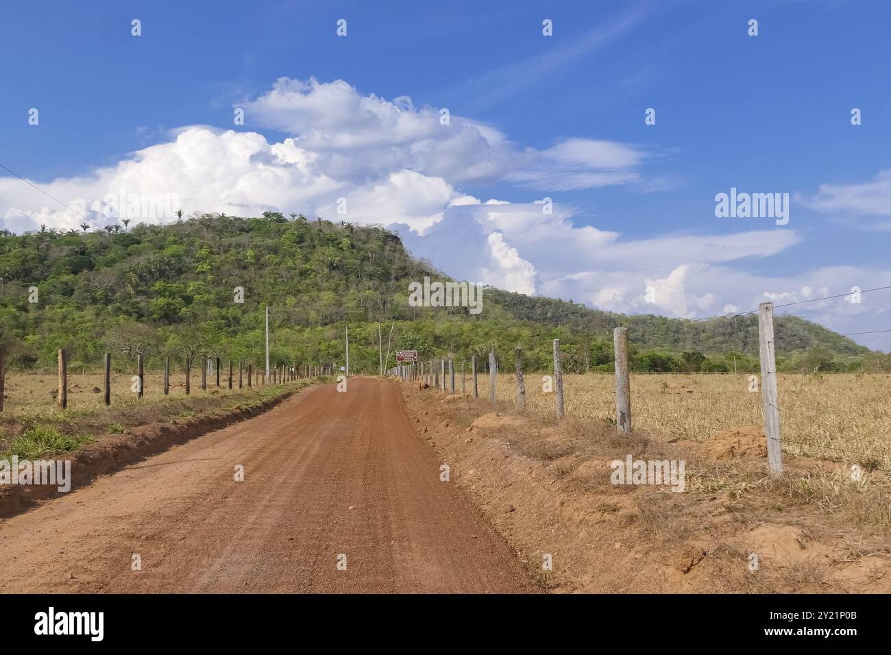 Rote Feldstraße im brasilianischen Cerrado, umzäunt und geradeaus zu einem Hügel mit Regenwald, blauer Himmel mit weißen Wolken, Bom Jardim, Mato Gr Stockfoto